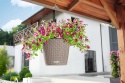 Lechuza Nido Cottage 28 Donica wisząca z systemem nawadniania – piaskowo-brązowa