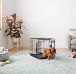 Klatka Metalowa dla Psa Amazon Basics – 61 x 46 x 51 cm, Podwójne Drzwi