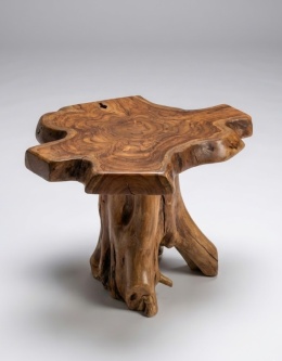 Unikatowy Stolik Kawowy Tree 50 cm – Lity Teak | KARE DESIGN