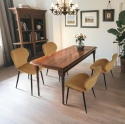 Nowoczesne Krzesło Aksamitne CangLong – Brązowe, Styl Mid-Century