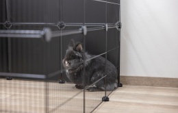 Modułowy Wybieg Kerbl Pet – 12 Elementów 35x35 cm, Kojec dla Małych Zwierząt