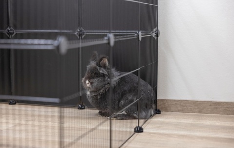 Modułowy Wybieg Kerbl Pet – 12 Elementów 35x35 cm, Kojec dla Małych Zwierząt